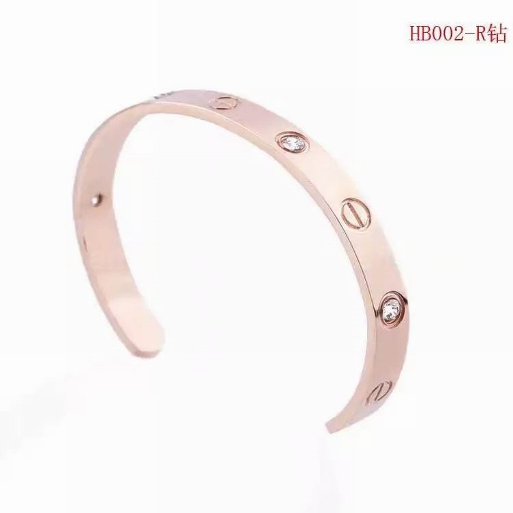 Cartier Bangles 25